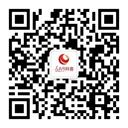 sf999官方传奇发布网,传奇三端互通新开服网站