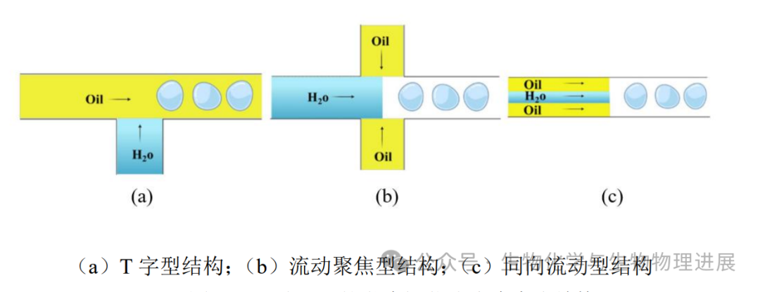 水凝胶怎么保存【前沿科普】“包封冷冻与释放”——卵母细胞的低温保存之旅_https://www.jmylbn.com_新闻资讯_第3张