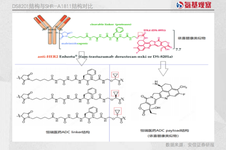 死磕PD-L1/TGFβ双抗，恒瑞医药不想为默克的失败买单 - 脉脉