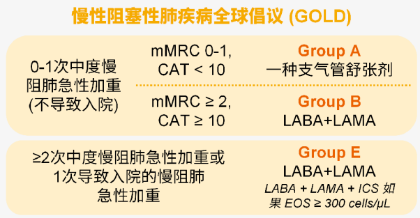 慢性阻塞性肺疾病全球倡議 (GOLD)