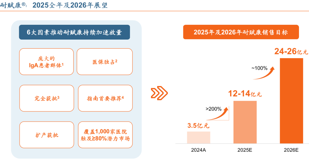耐賦康?:2025全年及2026年展望