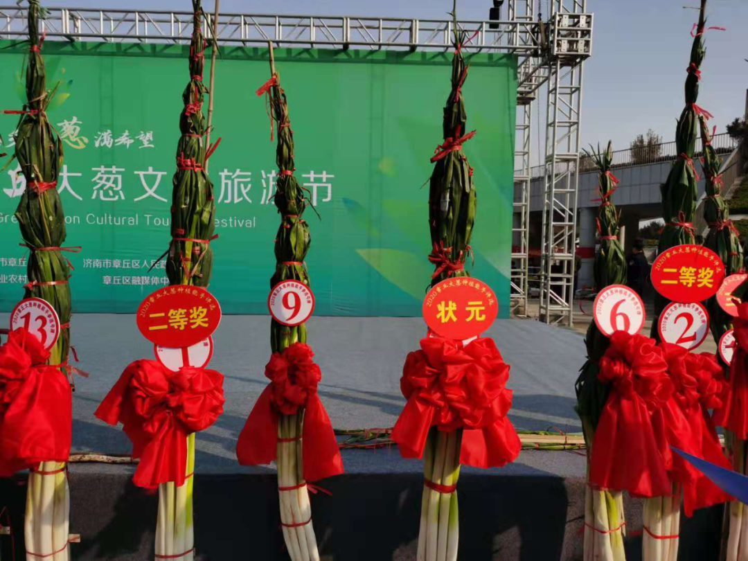 你算哪根葱?章丘大葱!-微信头条网 你算哪根葱?章丘大葱!
