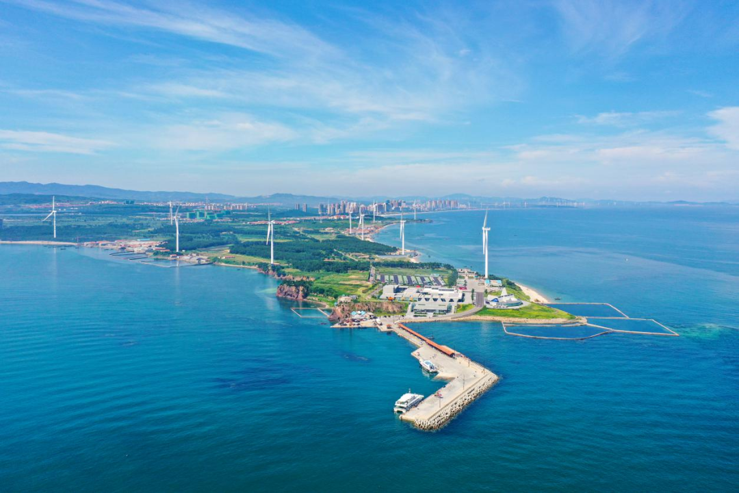 在海边生活是种什么样的体验滨州人你羡慕了吗