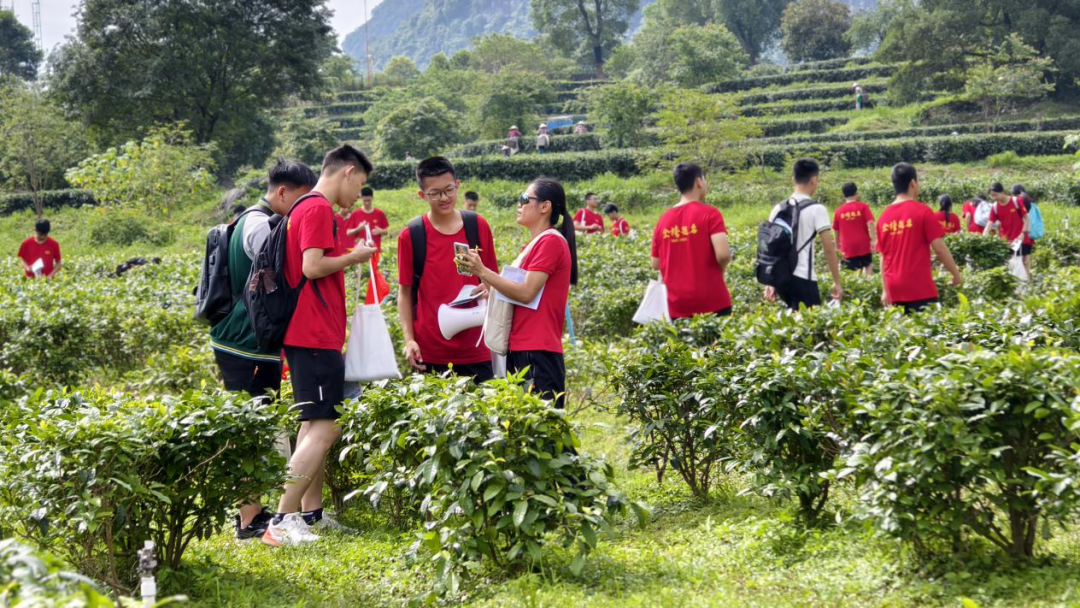 英德实验中学_实验中学英德校区地址_英德市实验中学老师名单