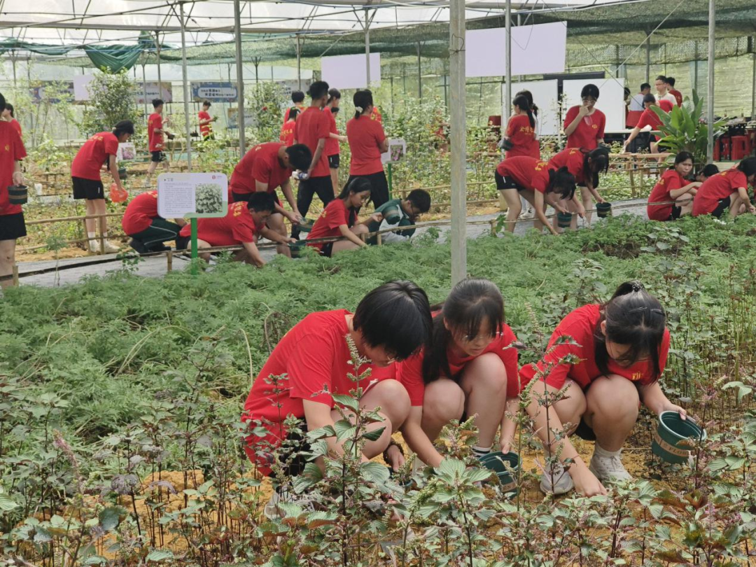 实验中学英德校区地址_英德实验中学_英德市实验中学老师名单