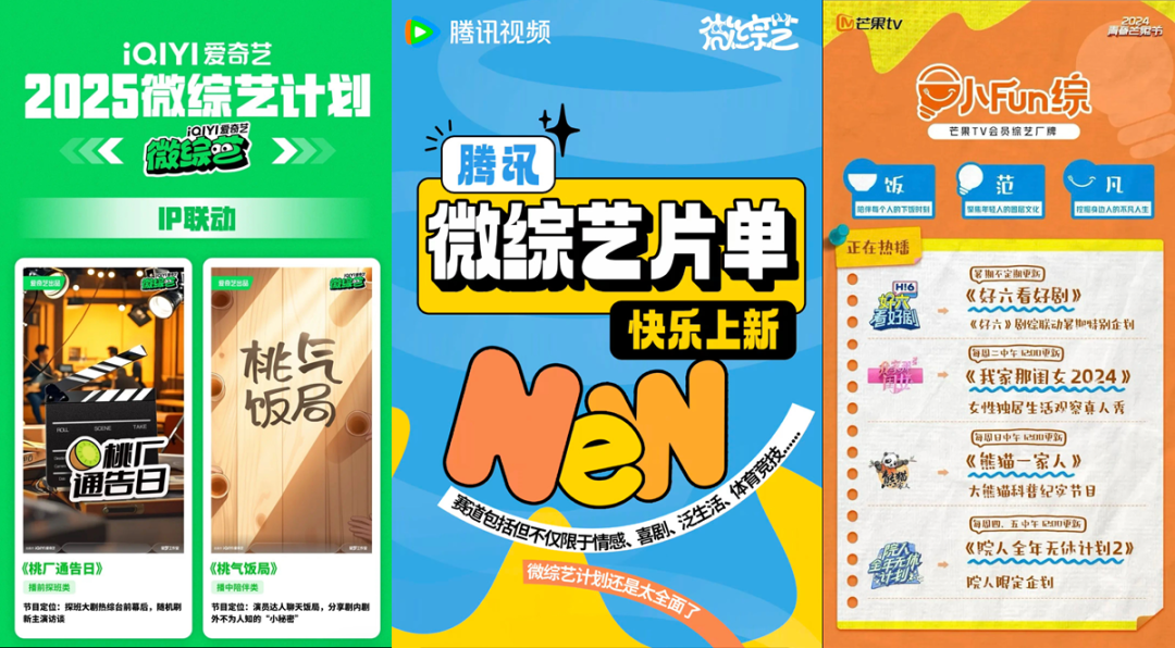 毛雪汪,2025，行业以「微综艺」试探“新活法”