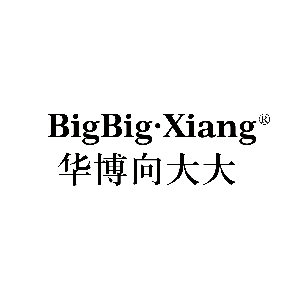华博向大大集团