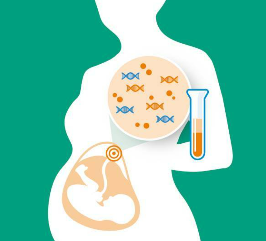 fh染色检测是什么一文了解——荧光原位杂交技术（FISH）_https://www.jmylbn.com_新闻资讯_第5张