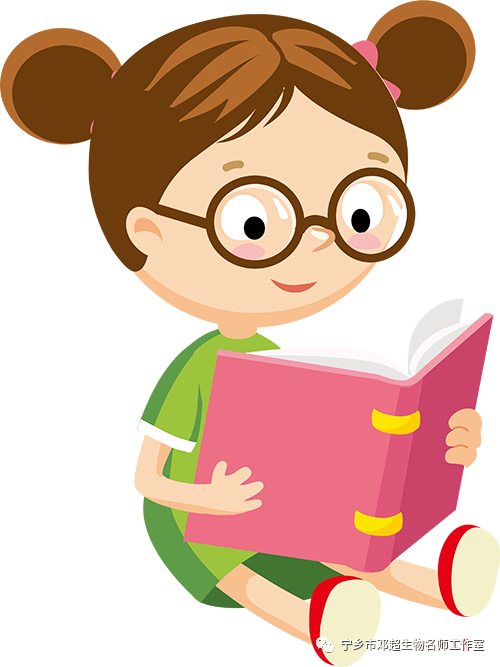 苹果手机百度无图模式_代理模式 图_模式图