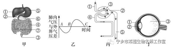 代理模式 图_苹果手机百度无图模式_模式图
