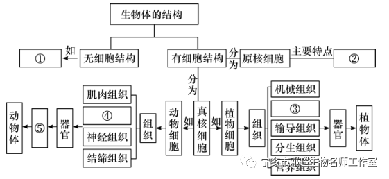 苹果手机百度无图模式_代理模式 图_模式图