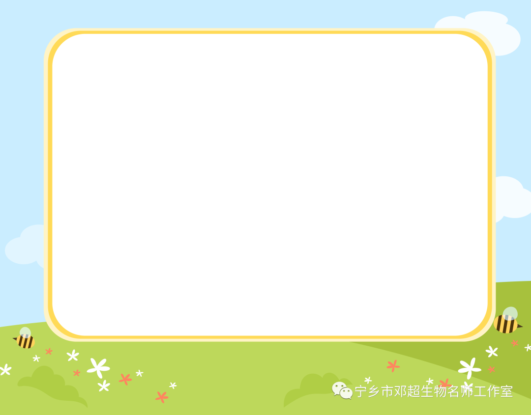 模式图 2023年宁乡市初中生物专题模拟之二识图作答题