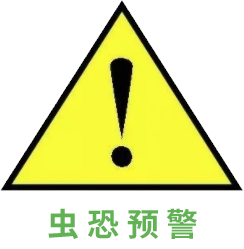 金碧辉煌的佛龛 居然是用虫子装饰的 物种日历 微信公众号文章阅读 Wemp