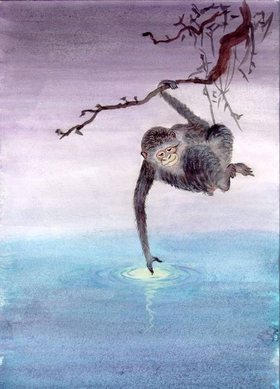 旧大陆猴可没法用尾巴倒吊着捞月.图片:igorkagan.