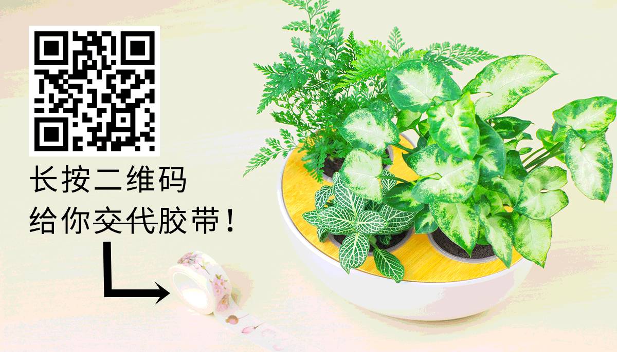 物種日曆微信號:guokrpac有萌自遠方來不亦樂乎有話想說?