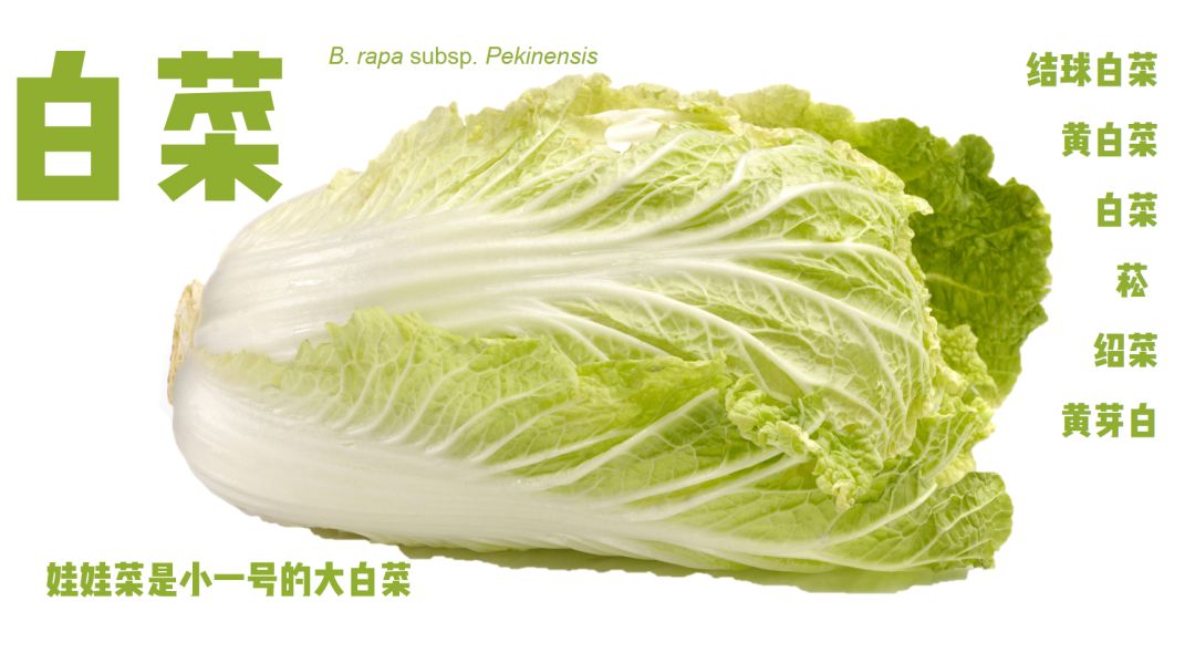 6park Com 当你买 菜 时 你在买什么