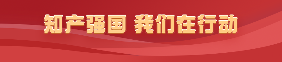 知遇重庆 创新保护高质量发展的西部力量——重庆市第一中级人民法院重庆知识产权法庭先进事迹