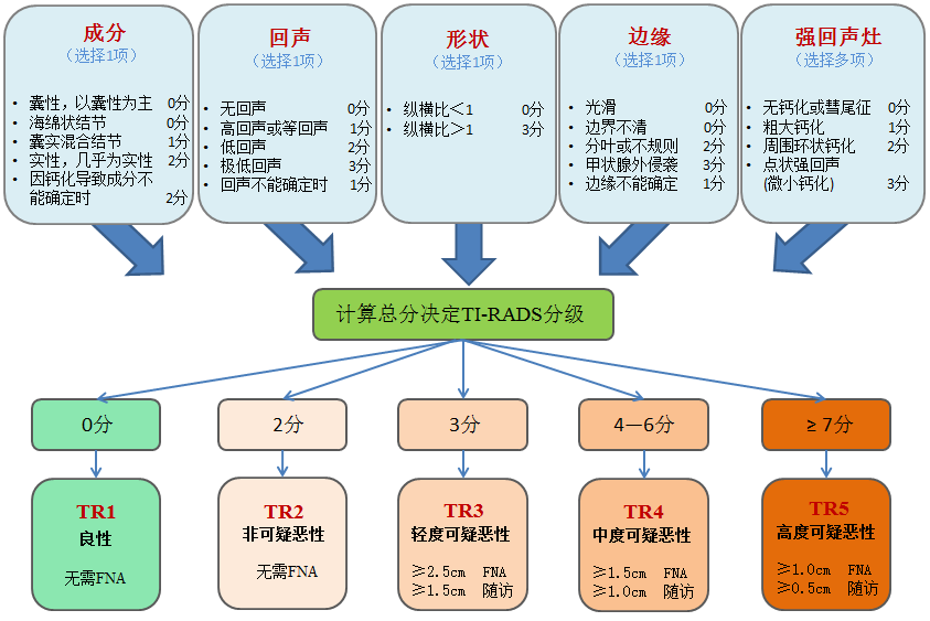 甲状腺结节8mm大吗_2*8mm甲状腺结节_甲状腺结节8mm