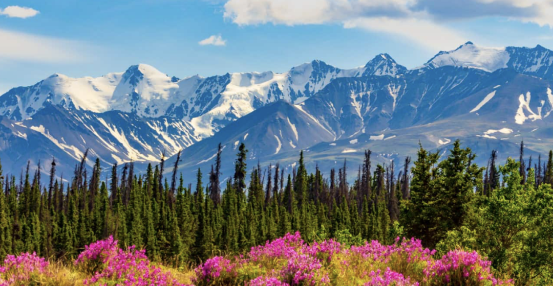 CRS分数逼近两年低点！CEC再捞4,000人