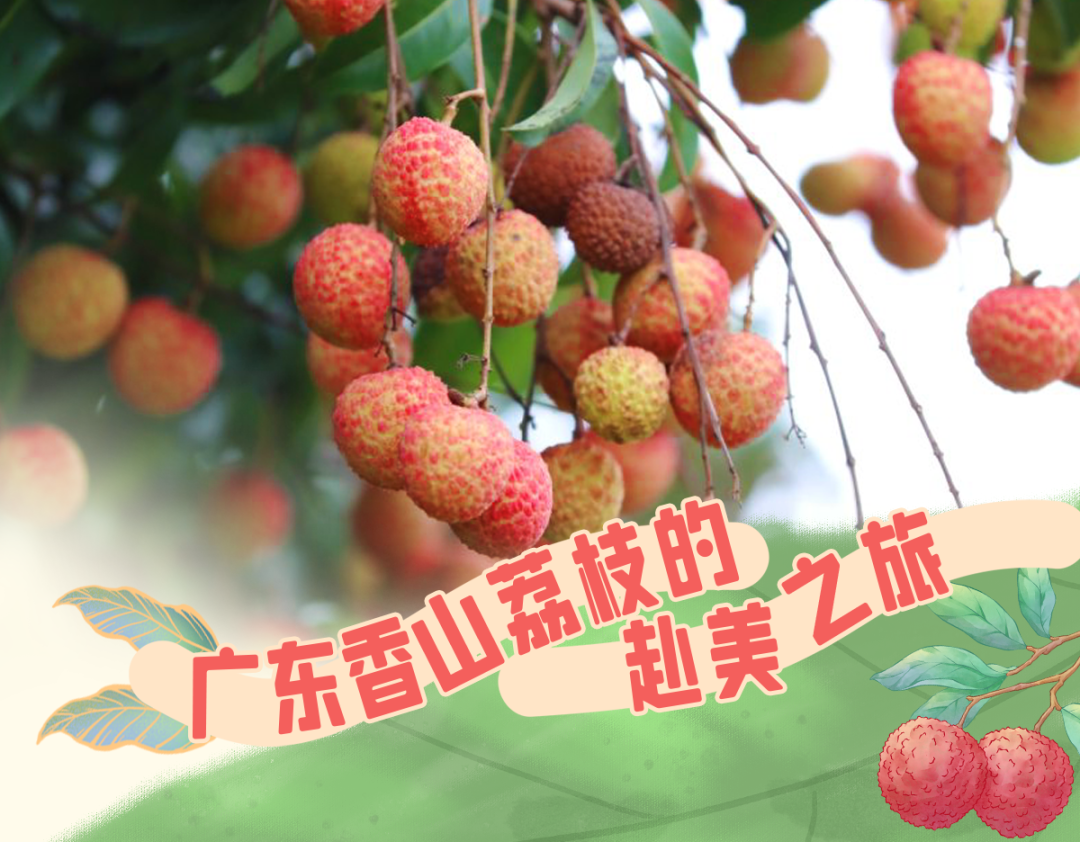 资料图。制图/金阁、图/吴长赋