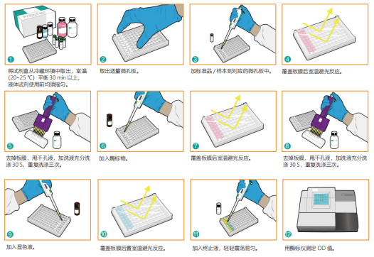 α-乳白蛋白酶联免疫试剂盒