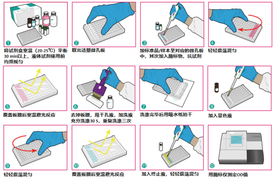新品發(fā)布：高靈敏度磺胺類ELISA檢測試劑盒，助力獸藥殘留監(jiān)控！