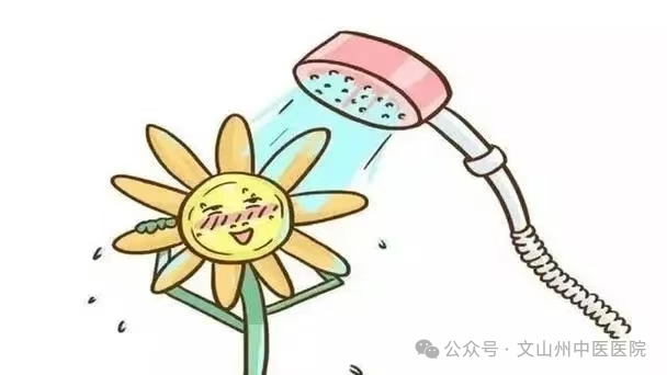 洗肛门怎么洗你真的会洗屁屁吗？肛肠科医生教你如何正确清洗！_https://www.jmylbn.com_新闻资讯_第5张