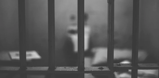 25йѧضͯɫƬ  ʥ·˹ͥ5