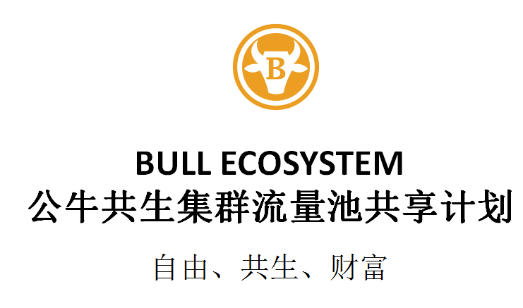 大橙大条国际视频：美国BULL生态牛币华人社区群主招募计划