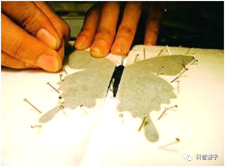 蝴蝶标本制作方法叫什么_蝴蝶标本的制作方法_蝴蝶标本制作方法步骤图