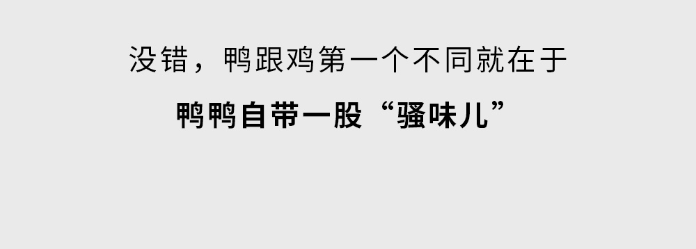 为什么有炸鸡没有炸鸭