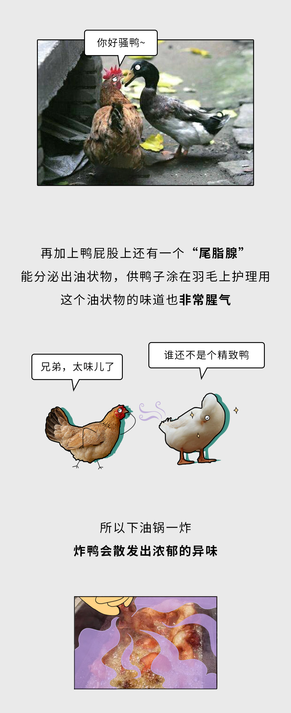 为什么有炸鸡没有炸鸭