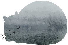 口腔光固化灯是什么光最全的树脂知识都在这了_https://www.jmylbn.com_新闻资讯_第4张