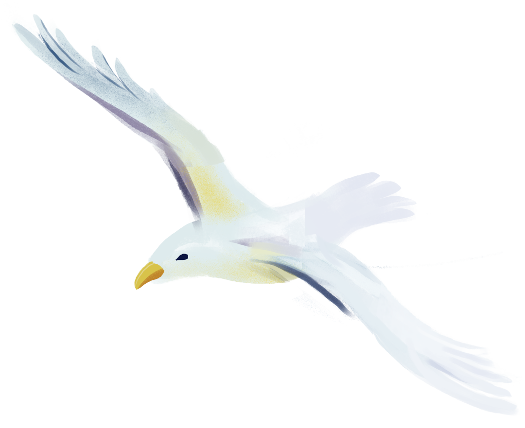 医用导管是干什么用的你知道导管的重要性吗？_https://www.jmylbn.com_新闻资讯_第1张