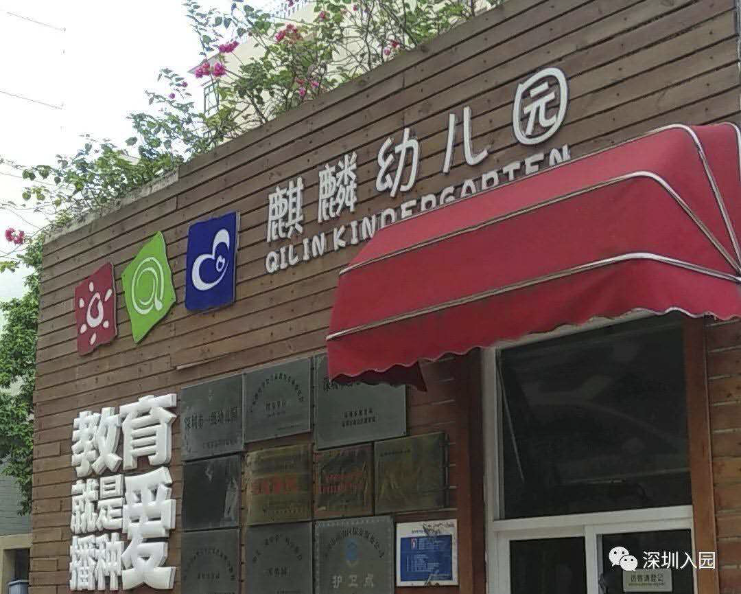 深圳各区113所优质民办幼儿园盘点！等级高学费还便宜，看看你家附近有哪些？相关资料 38