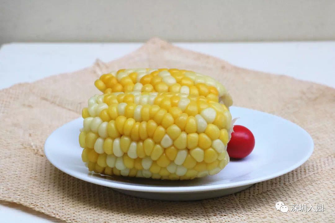 堪比五星级！深圳这13所餐食超棒的幼儿园盘点！省一级、市一级皆上榜！相关资料 67
