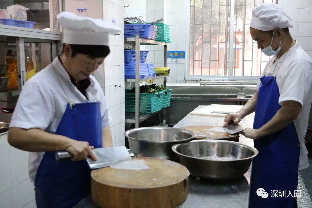 堪比五星级！深圳这13所餐食超棒的幼儿园盘点！省一级、市一级皆上榜！相关资料 70