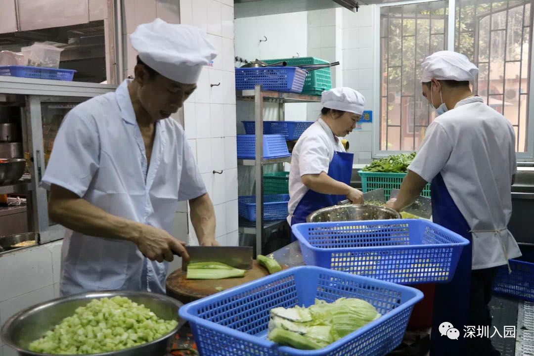 堪比五星级！深圳这13所餐食超棒的幼儿园盘点！省一级、市一级皆上榜！相关资料 71