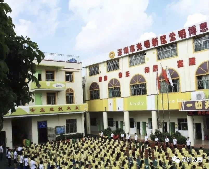 深圳各区113所优质民办幼儿园盘点！等级高学费还便宜，看看你家附近有哪些？相关资料 102