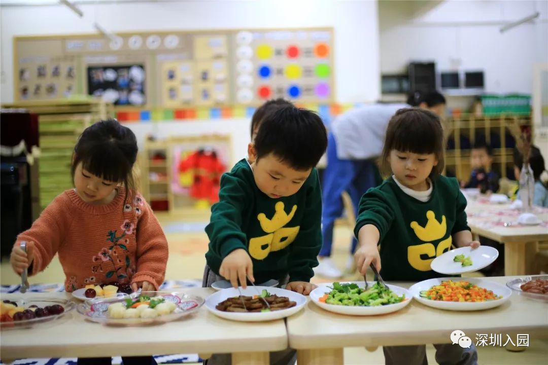 堪比五星级！深圳这13所餐食超棒的幼儿园盘点！省一级、市一级皆上榜！相关资料 18