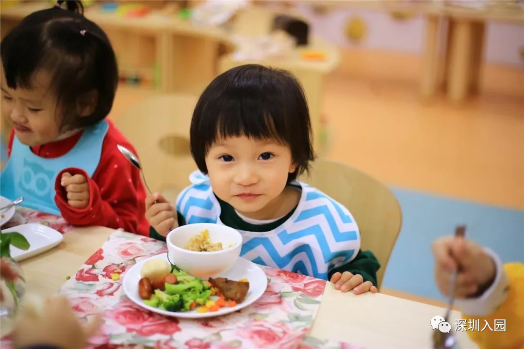 堪比五星级！深圳这13所餐食超棒的幼儿园盘点！省一级、市一级皆上榜！相关资料 21
