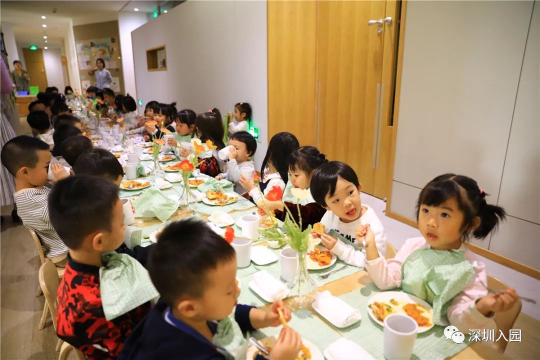 堪比五星级！深圳这13所餐食超棒的幼儿园盘点！省一级、市一级皆上榜！相关资料 52