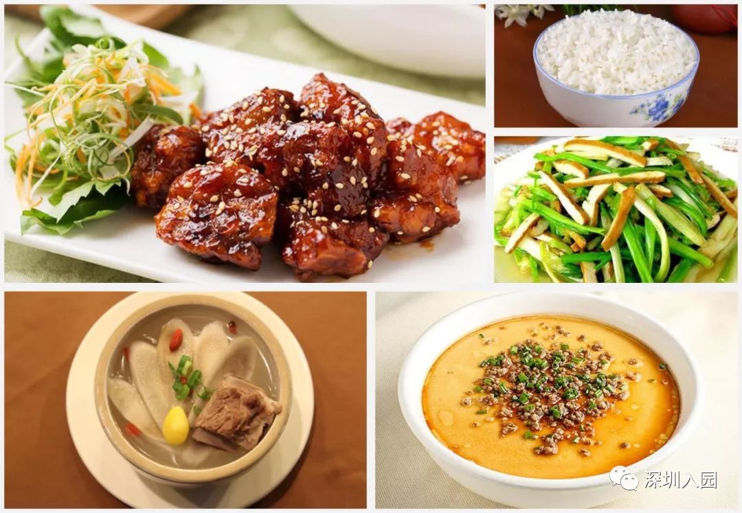 堪比五星级！深圳这13所餐食超棒的幼儿园盘点！省一级、市一级皆上榜！相关资料 43