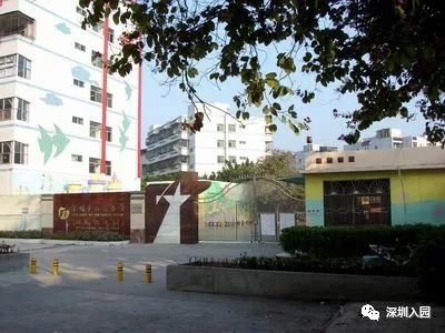 深圳各区113所优质民办幼儿园盘点！等级高学费还便宜，看看你家附近有哪些？相关资料 48