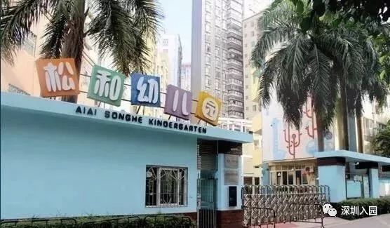 深圳各区113所优质民办幼儿园盘点！等级高学费还便宜，看看你家附近有哪些？相关资料 89
