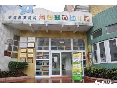 深圳各区113所优质民办幼儿园盘点！等级高学费还便宜，看看你家附近有哪些？相关资料 67