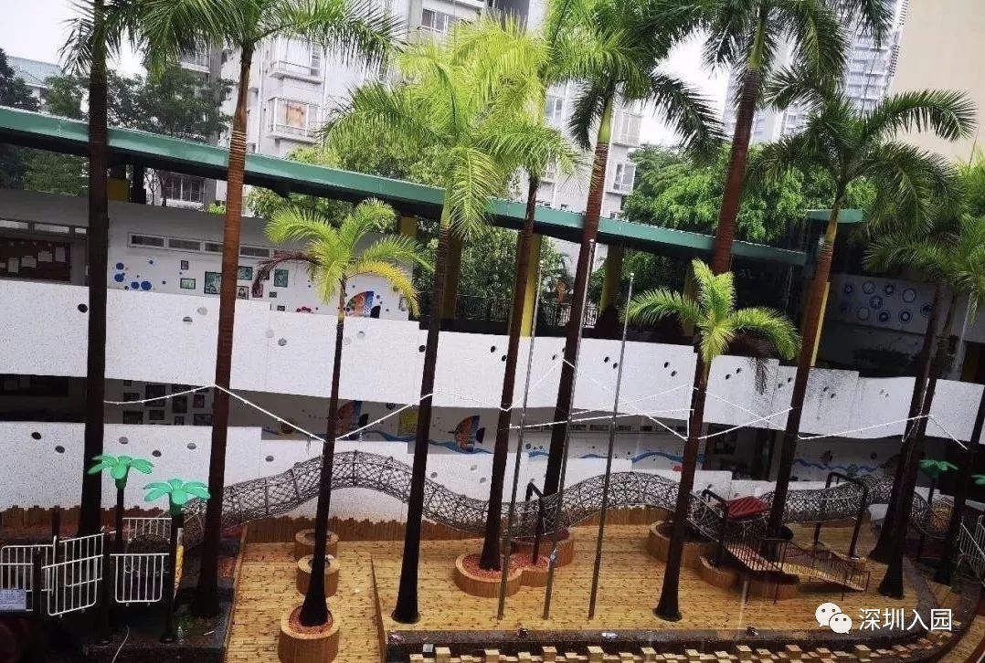 深圳各区113所优质民办幼儿园盘点！等级高学费还便宜，看看你家附近有哪些？相关资料 34