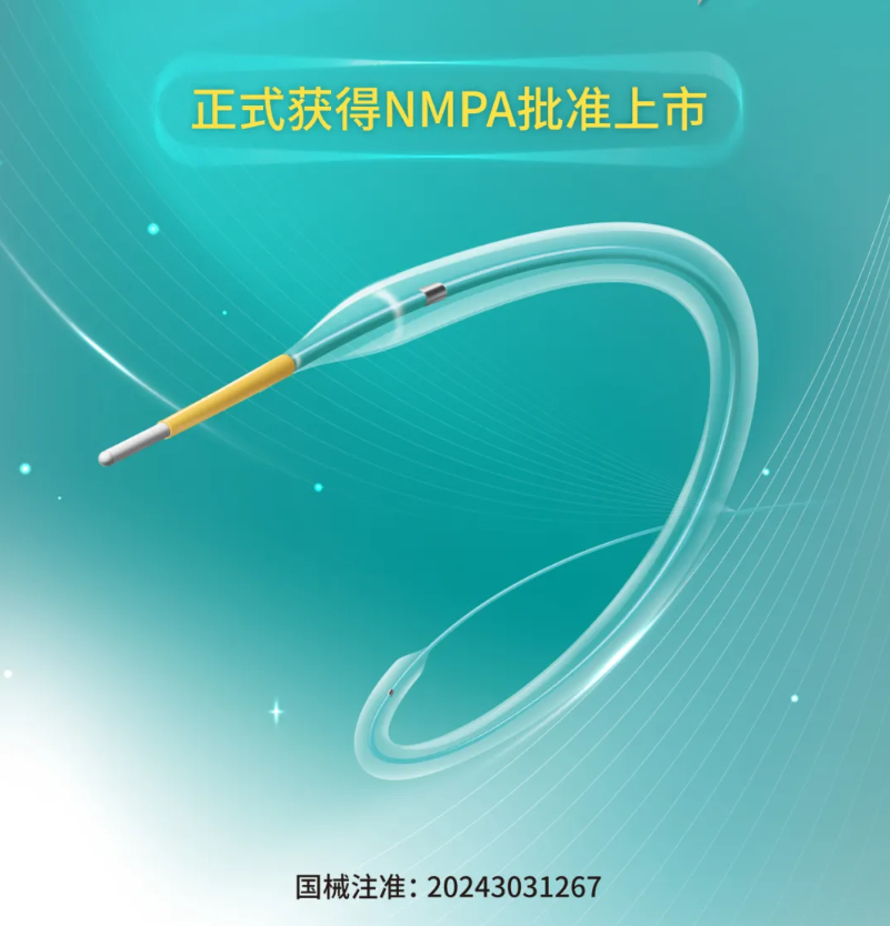 什么是外周支架获批上市！国产耗材龙头外周开疆拓土_https://www.jmylbn.com_新闻资讯_第4张