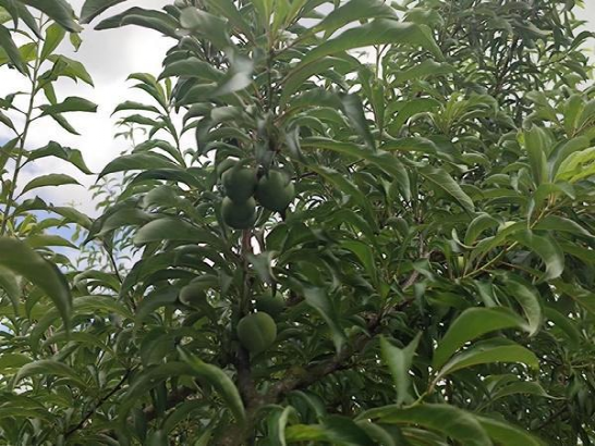 防伪标签制作_防伪标签制作流程_防伪标签制作哪家好_js3333线路检测中心防伪