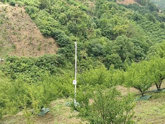 防伪标签制作_防伪标签制作流程_防伪标签制作哪家好_js3333线路检测中心防伪